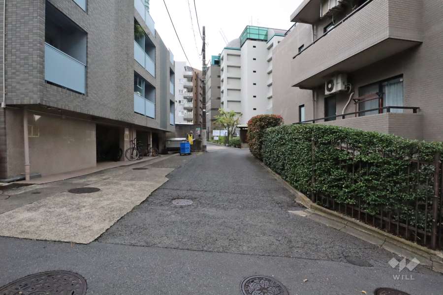 敷地東側の前面道路(北側から)