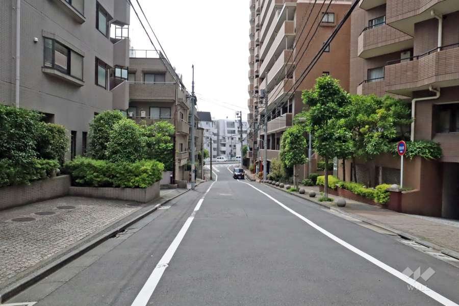 敷地南側の前面道路(東側から)。突き当りは山手通りです。