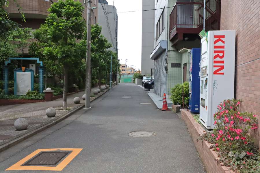 敷地北東側の前面道路(南東側から)