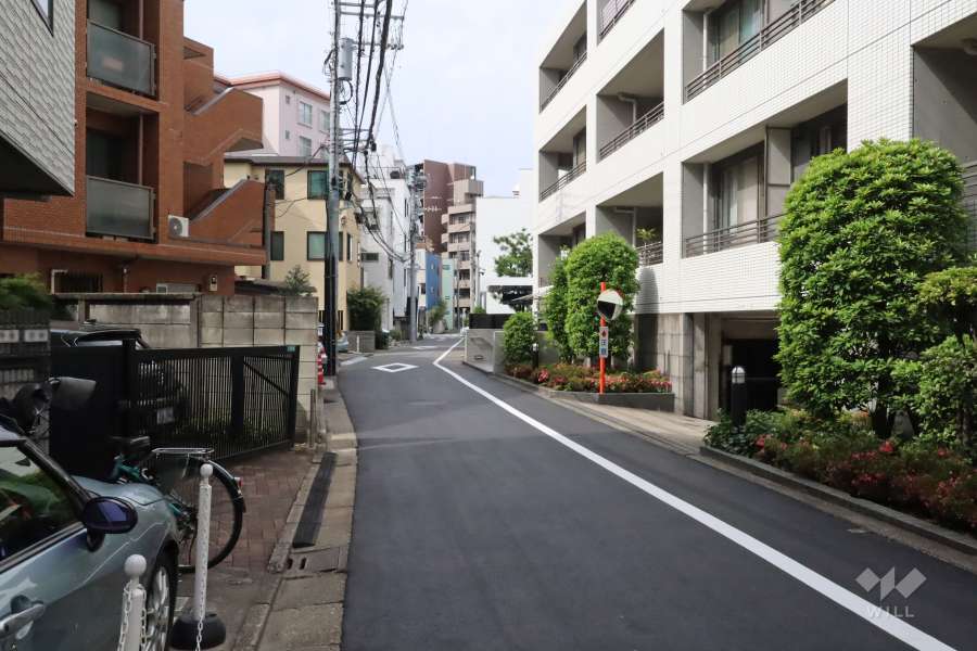 敷地北西側の前面道路(南西側側から)