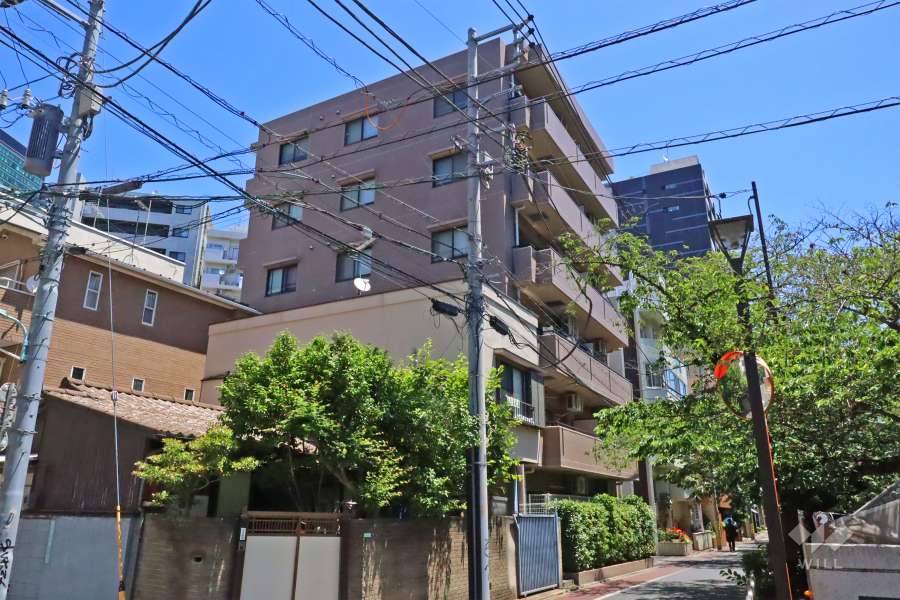 ソシアルセイワ目黒大橋の外観（南西側から）