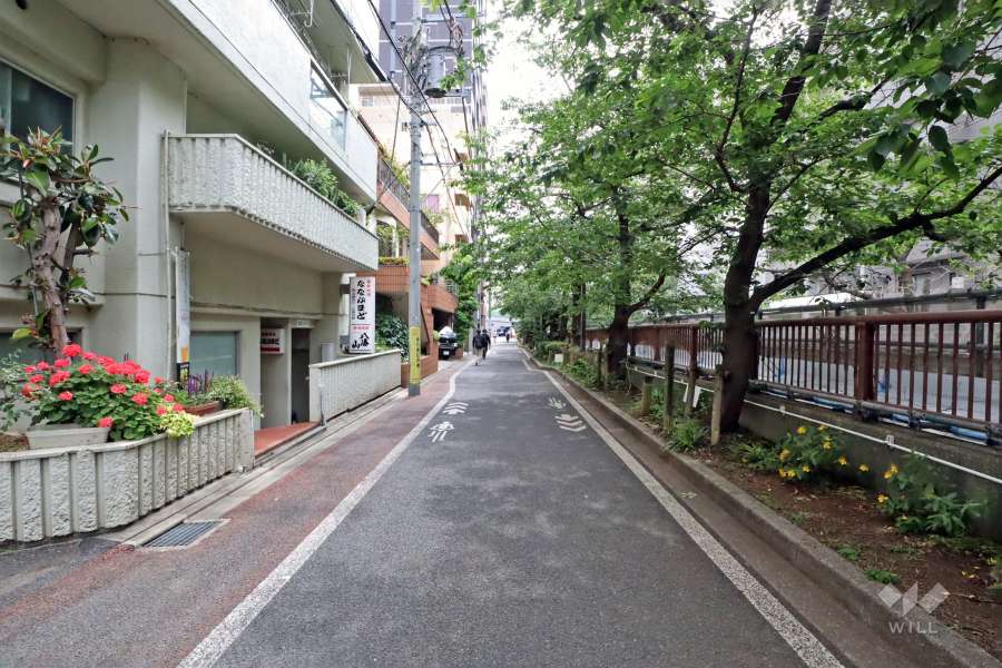 敷地南側前面道路(西側から)