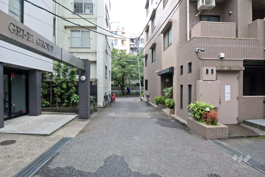 敷地の東側通路(北側から)