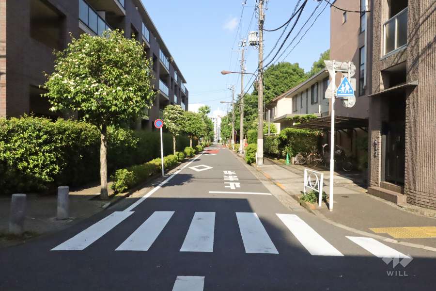 敷地南側の前面道路