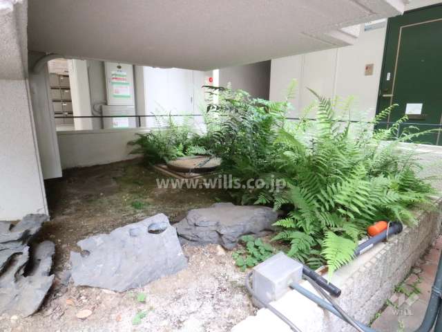 階段下植え込み
