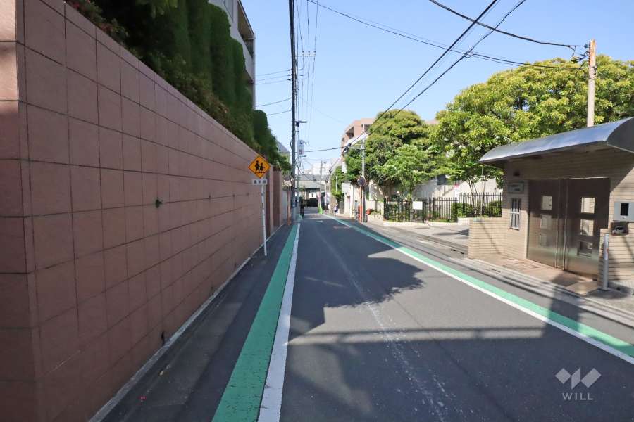 敷地南東側の前面道路(南西側から)