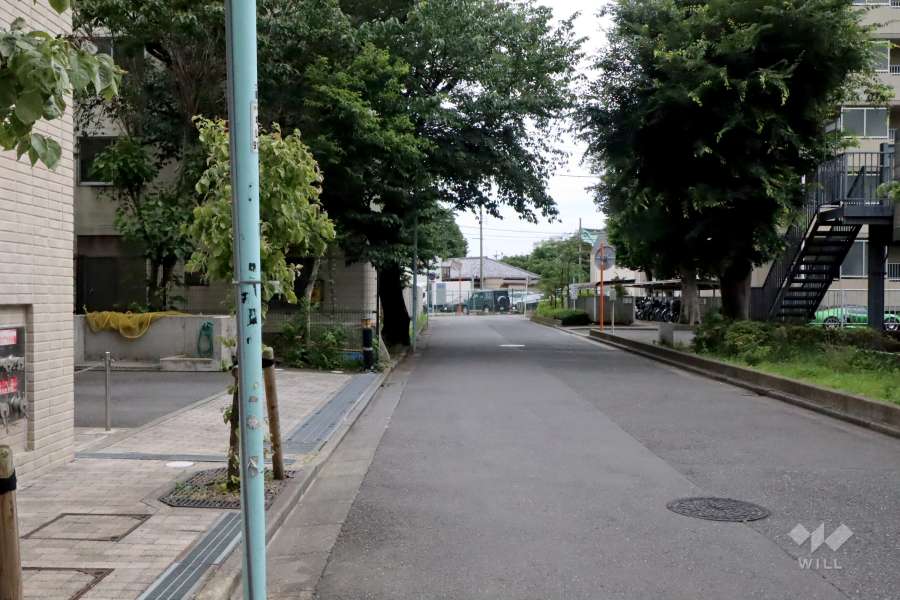 敷地西側の前面道路