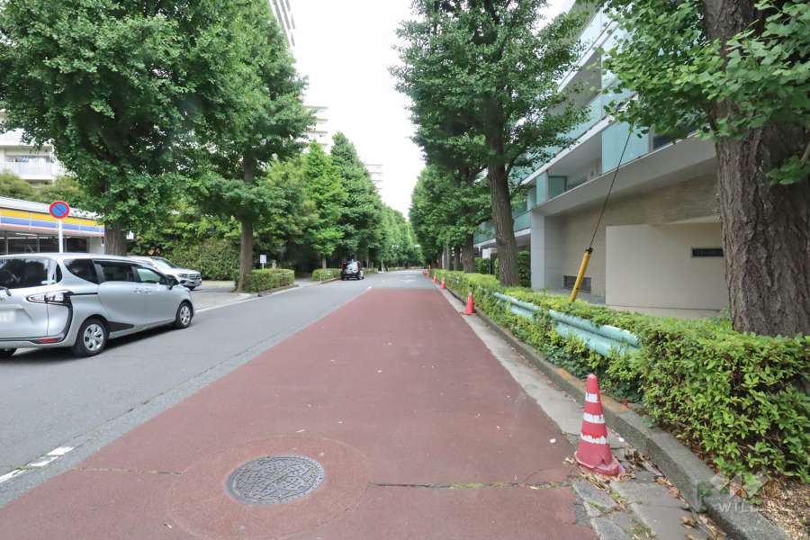 敷地北側の前面道路