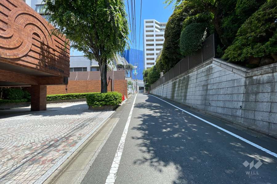 敷地東側の前面道路（南側から）
