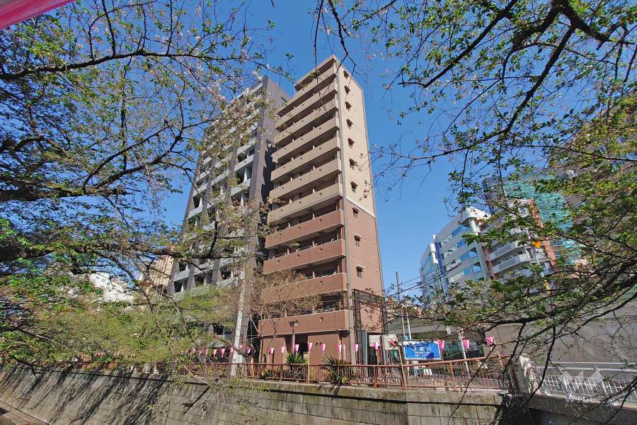 サンテミリオン目黒東山の外観（南側から）1