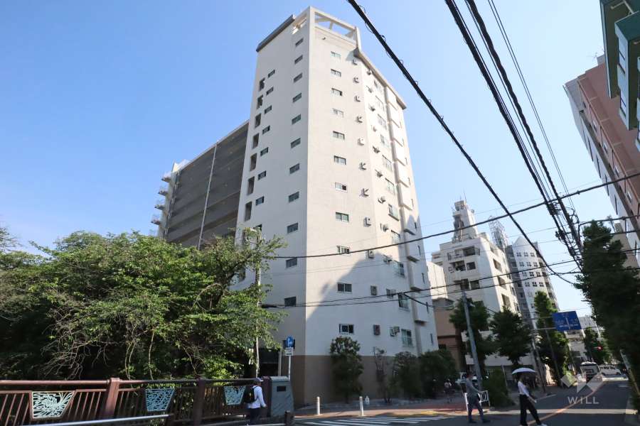 マンションの外観(北側から)