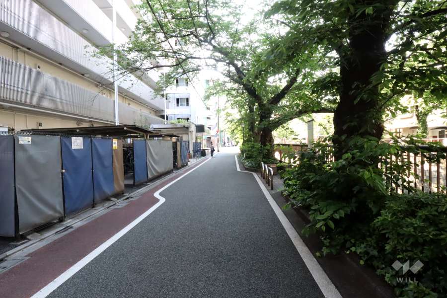 敷地北東側の前面道路(南東側から)