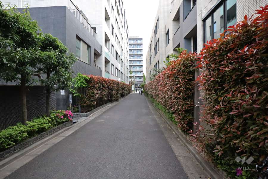 敷地南西側の前面道路(北西側から)