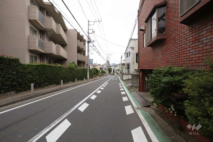 敷地東側の前面道路(南側から)