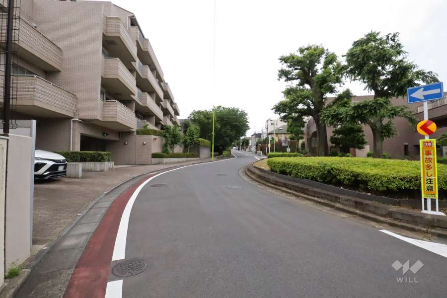 敷地西側の前面道路(北側から)