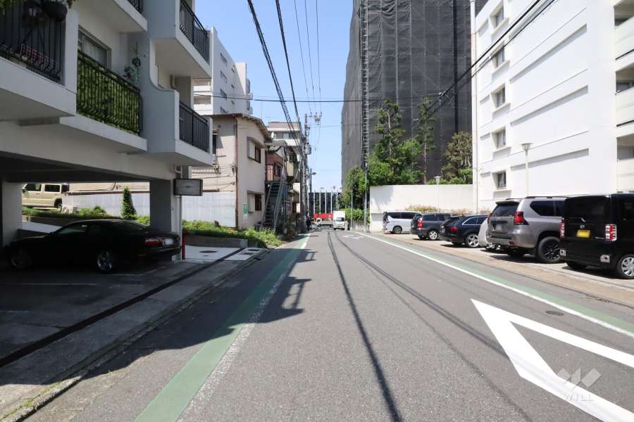 敷地の東側前面道路(南側から)