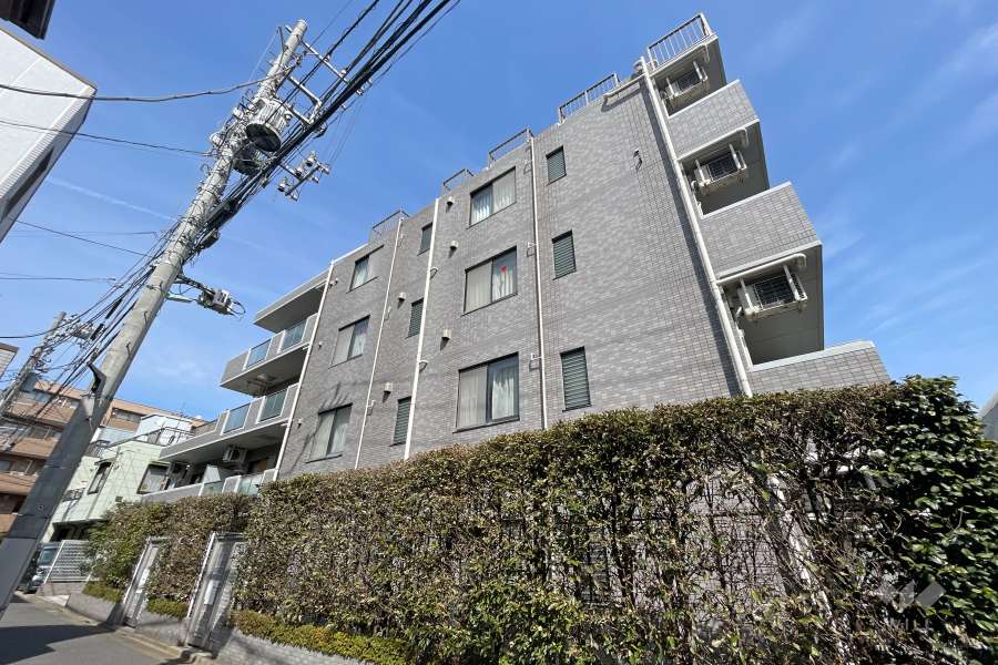 ワールドパレス学芸大学2の外観（南側から）　