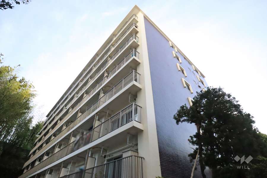 松風園コーポの外観(南東側から)　