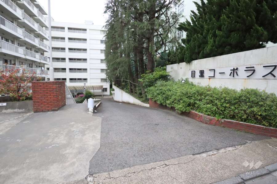 エントランスアプローチ