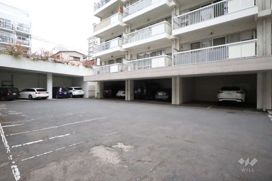 敷地内駐車場（屋内・屋外平面式）