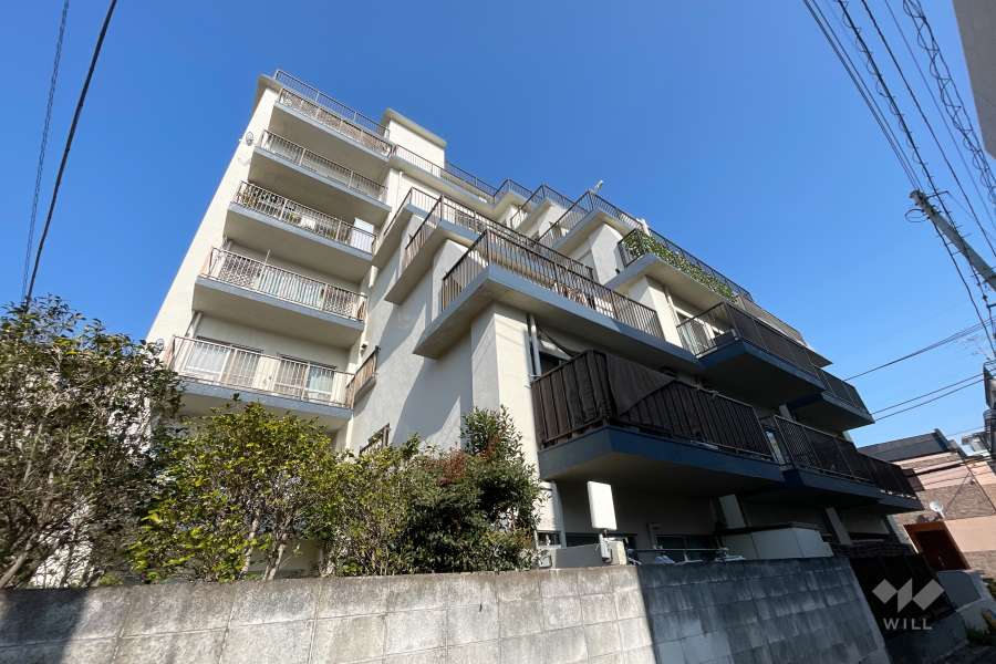 祐天寺ニュースカイマンションの外観(南東側から）