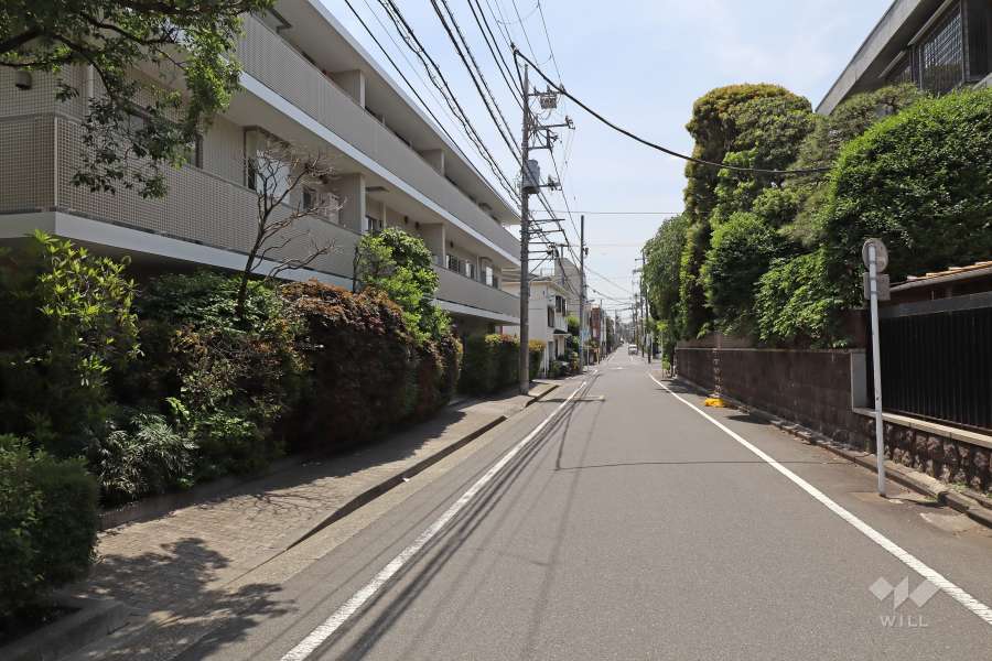 敷地西側の前面道路（北側から）