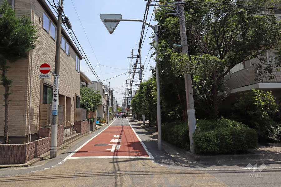敷地北側の前面道路（西側から）