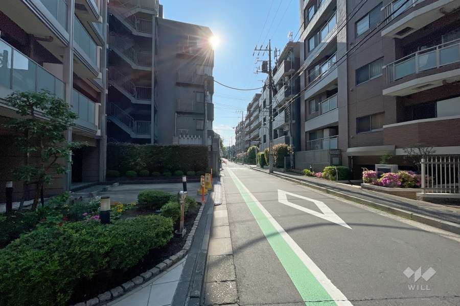 敷地北側の前面道路