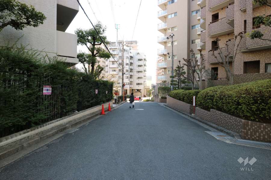 敷地北側の前面道路