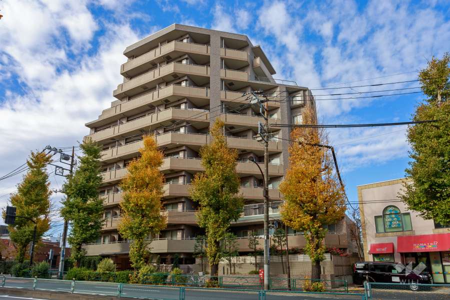 ファミール八雲の外観（南東側から）