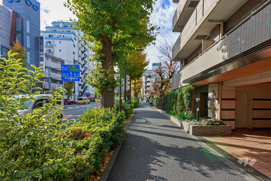 敷地南東側の前面道路（北東側から）