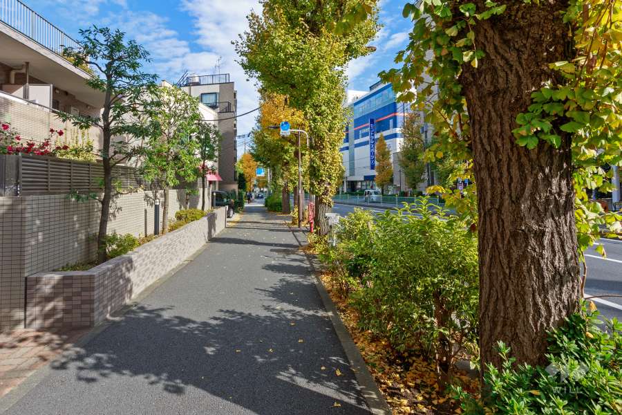 敷地南東側の前面道路（南西側から）