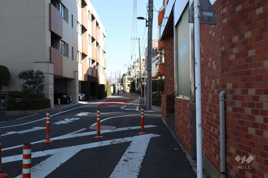 敷地東側の前面道路(北側から)