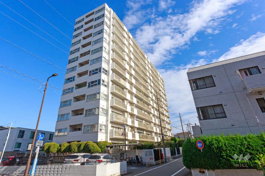 ドルフ都立大の外観（南西側から）