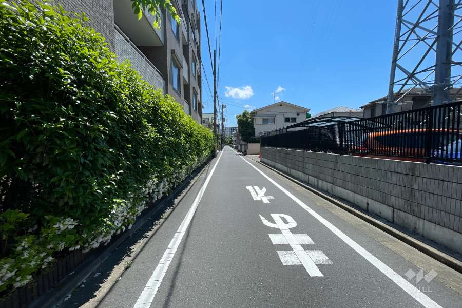 敷地西側の前面道路（北側から）