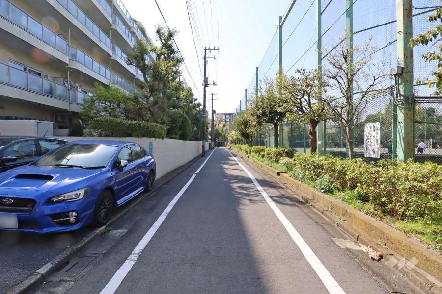 敷地西側の前面道路(北側から)