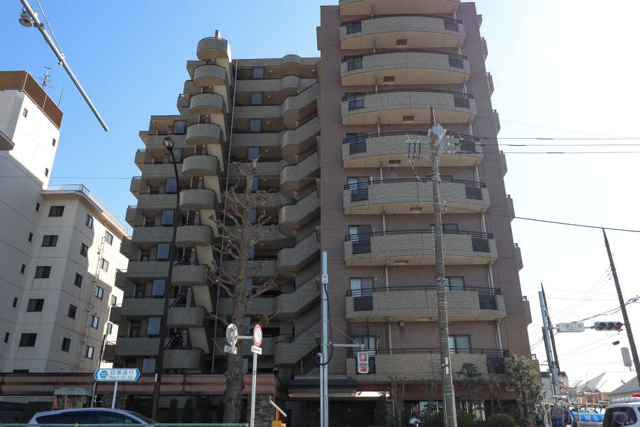 ルイシャトレ自由が丘の外観(北側から)