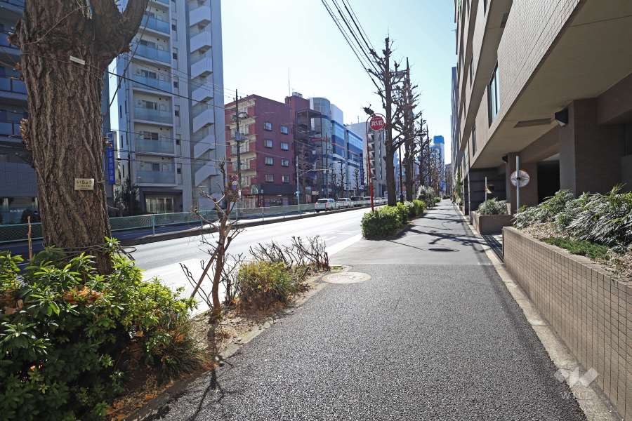 敷地南東側の前面道路（北東側から）