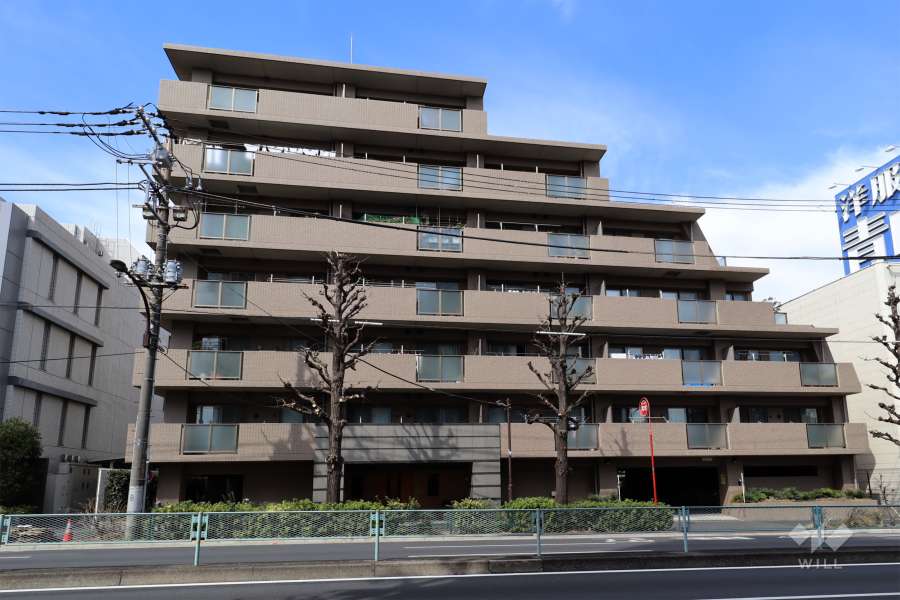 ルピナス八雲グランステージの外観（南東側から）