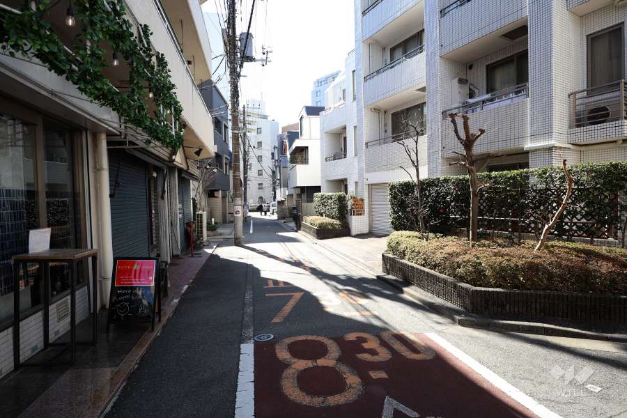 敷地南東側の前面道路(北東側から)