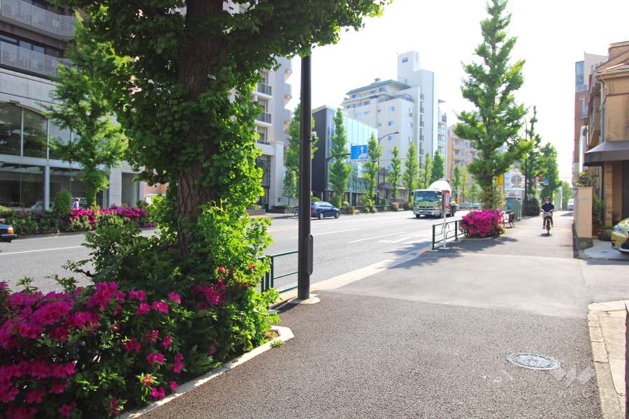 敷地南東側の前面道路