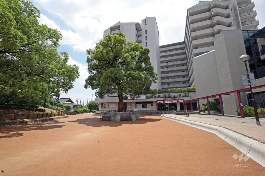 隣接広場