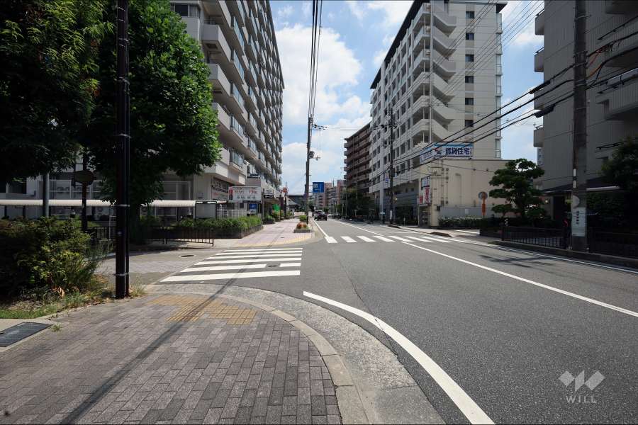 敷地東側の前面道路（南側から）