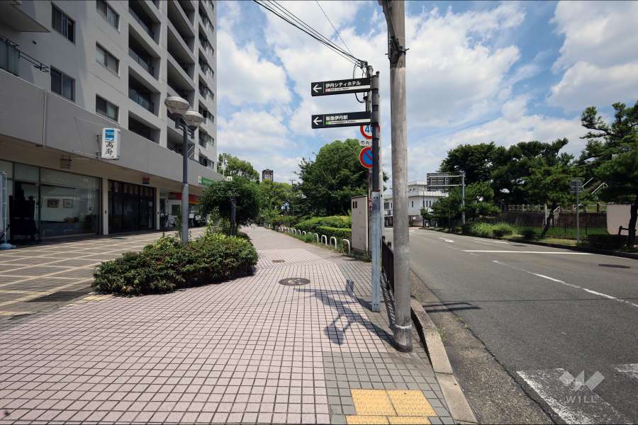 敷地南側の前面道路（西側から）