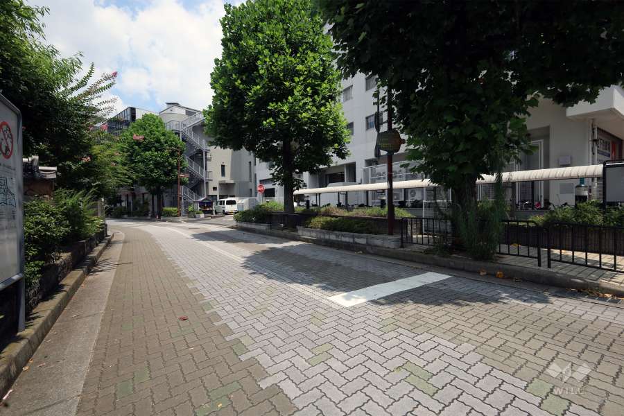 敷地西側の前面道路（南側から）