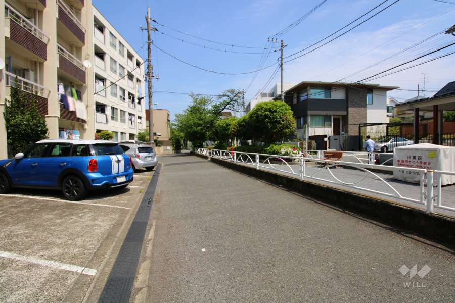 敷地の前面道路（西側から）