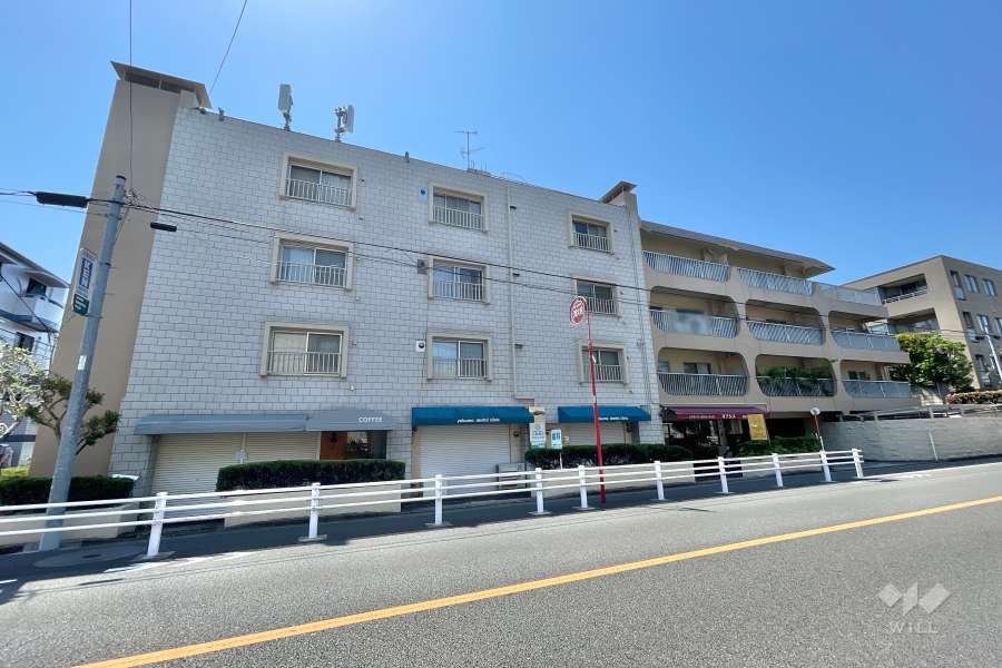 八雲スカイハイツの外観（東側から）