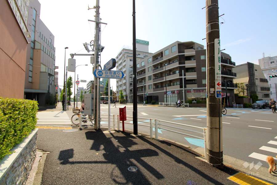 敷地北側の前面道路（東側から）