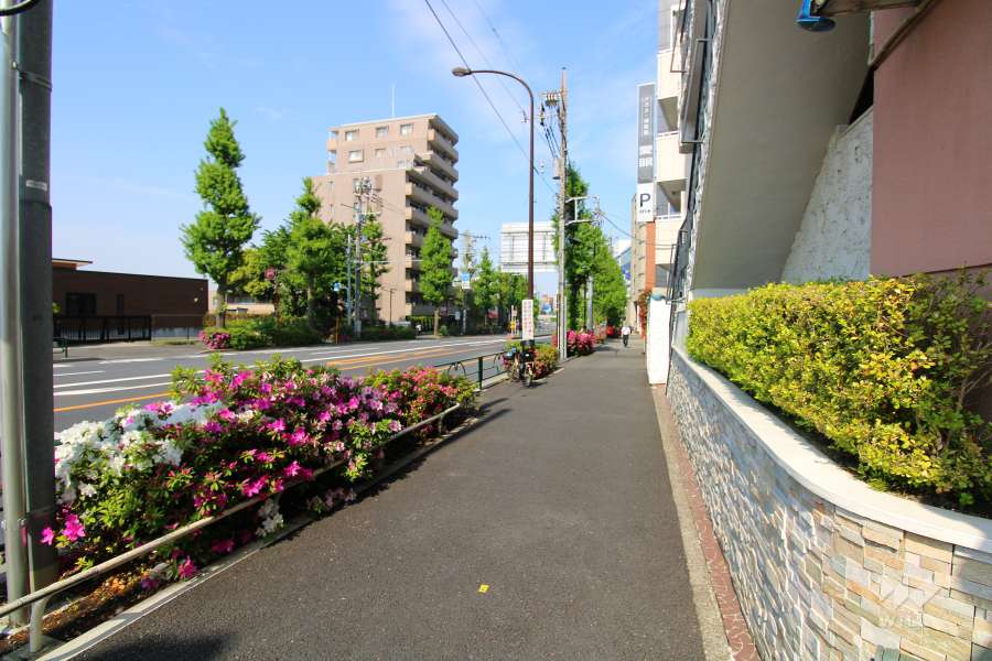 敷地北側の前面道路（西側から）