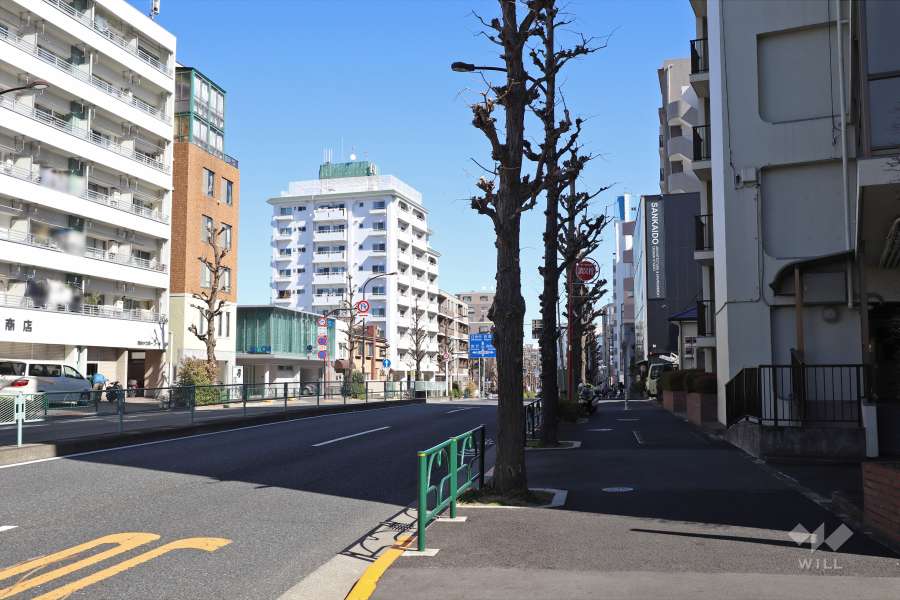 敷地北側の前面道路（目黒通り）